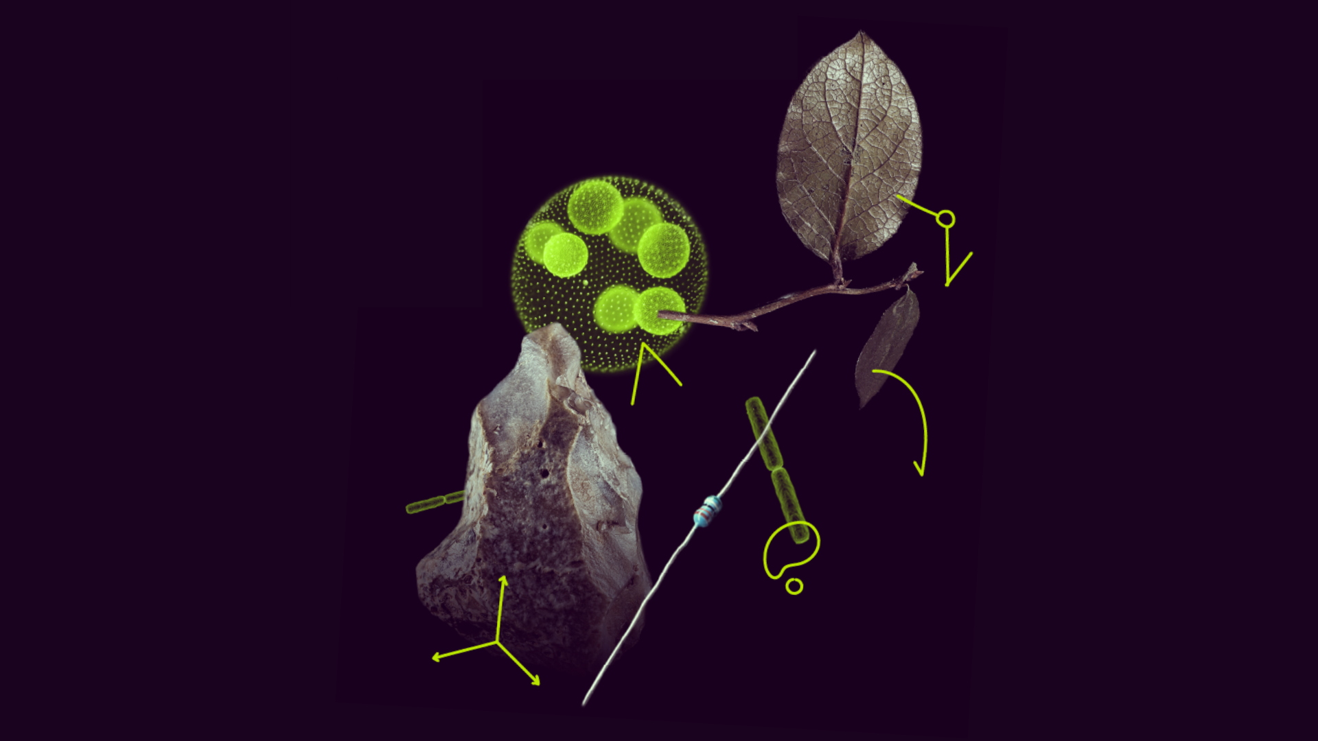 MSCA Postdoctoral Fellowships 2026 official opportunity image